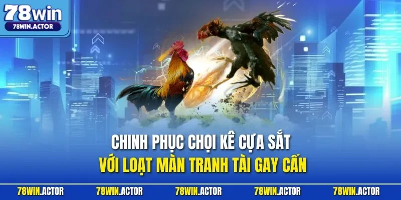 Chinh phục chọi kê cựa sắt với loạt màn tranh tài gay cấn