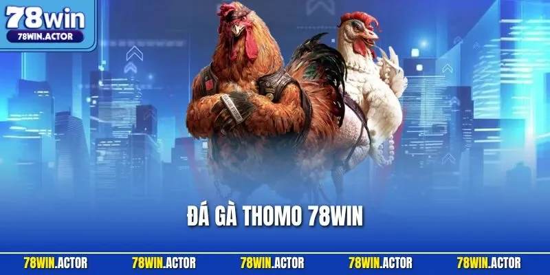 Đá Gà Thomo 78WIN – Đấu Trường Chọi Đỉnh Cao, Kịch Tính