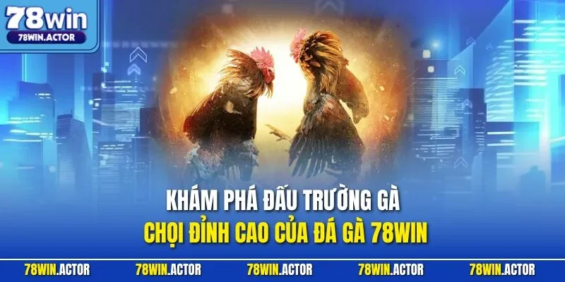 Khám phá đấu trường gà chọi đỉnh cao của đá gà 78WIN 