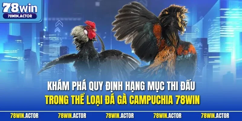 Khám phá quy định hạng mục thi đấu trong thể loại đá gà Campuchia 78WIN